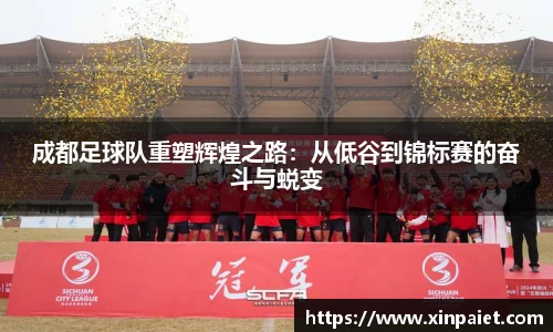 成都足球队重塑辉煌之路：从低谷到锦标赛的奋斗与蜕变