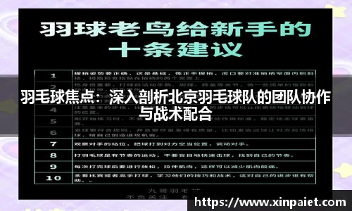 羽毛球焦点：深入剖析北京羽毛球队的团队协作与战术配合