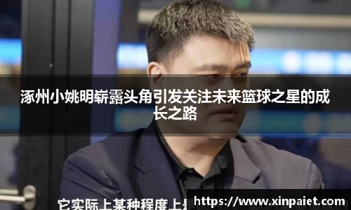 涿州小姚明崭露头角引发关注未来篮球之星的成长之路